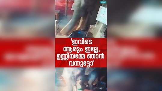 elephant viral video from muthanga check post