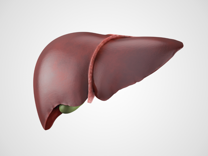 healthy liver