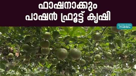 passion fruit farming rate in kerala