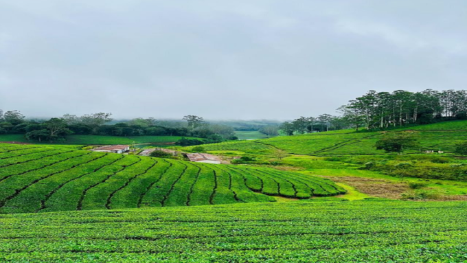 அழகிய வியூ பாயிண்ட்கள்