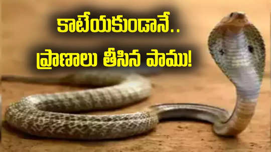 Srikakulam: కాటేయకుండానే ఇద్దరి ప్రాణాలు తీసిన పాము.. శాపమే కారణమా!