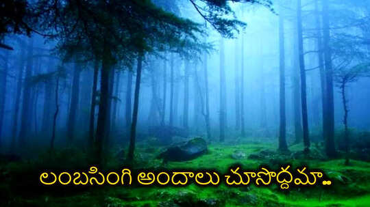 Andhara Kashmir మంచు కురిసే వేళలో.. ఆంధ్రా కాశ్మీర్ ట్రిప్ ప్లాన్ చేసేయండి...