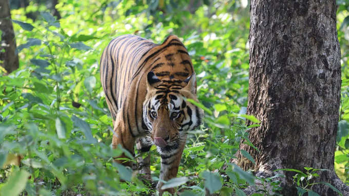 फोटोग्राफी के लिए बेस्ट है लोकेशन