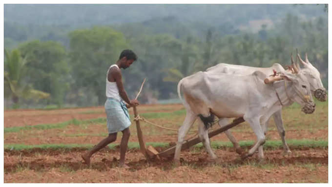 agriculture