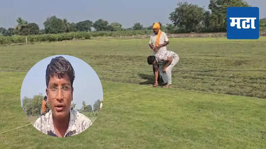 Farmer Sucess Story : कोरियन कार्पेट गवताची लागवड, बीडच्या तरुणांचा यशस्वी प्रयोग; शेतीतून करतोय लाखोंची कमाई