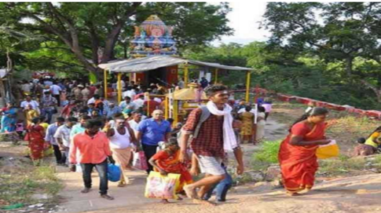 கார்த்திகை மாத அமாவாசை வழிபாடு... தொடர் மழை காரணமாக சதுரகிரிக்கு பக்தர்கள்  செல்ல தடை!