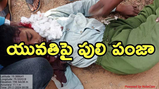 కొమురంభీం జిల్లాలో హడలెత్తిస్తోన్న పెద్దపులి.. దాడిలో ఓ మహిళ మృతి