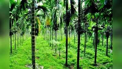 ತಿಪ್ಪರಲಾಗ ಹಾಕಿದರೂ ಸೆಗಣಿ ಗೊಬ್ಬರವಿಲ್ಲ