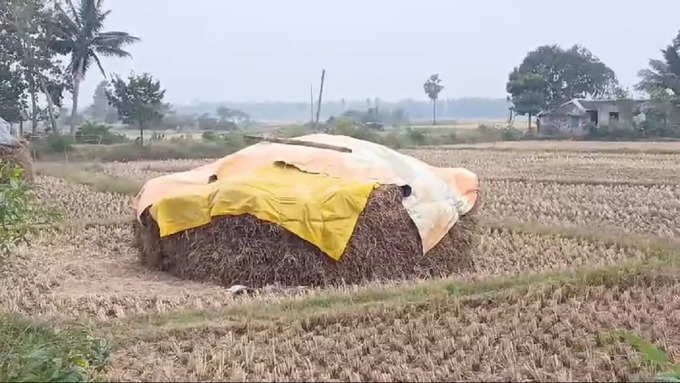 धान के बाद गेहूं के फसल की तैयारी