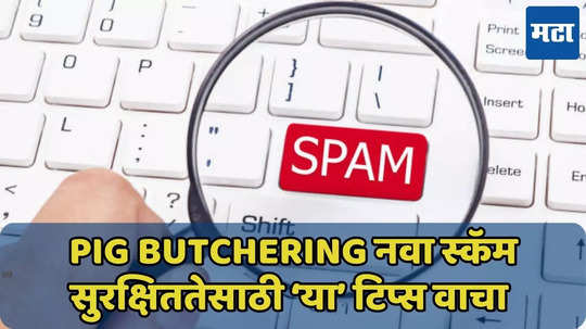 Pig Butchering Scam मध्ये फसाल? सुरक्षिततेसाठी ‘या’ टिप्स वाचा