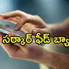 ఏపీలో ప్రభుత్వ పథకాలు తీసుకునేవారికి ఫోన్ కాల్స్.. ఐడియా బావుంది, ఎందుకంటే!