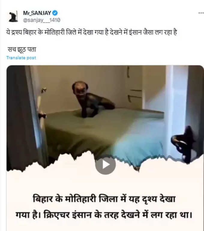 वीडियो के बिहार के होने का दावा