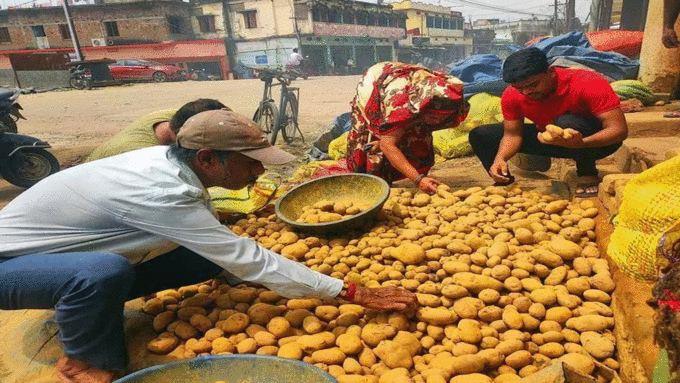 आलू का मामला हुआ सियासी