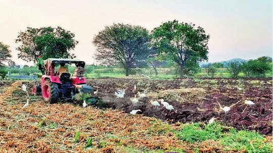 Chhatrapati Sambhajinagar: जिल्ह्यात रब्बीच्या पेरणीला वेग; गव्हाचे क्षेत्र वाढणार, सिंचनासाठी यंदा मुबलक पाणी