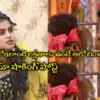 ఆడంగి లక్షణాలు మగాడిలో.. సోనియా షాకింగ్ పోస్ట్.. నిఖిల్‌పై ఇంత పగా!!