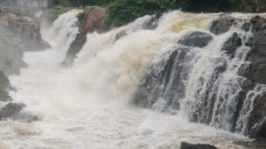 ஒகேனக்கல் காவிரி ஆற்றில் ஆர்பரிக்கும் தண்ணீர்..... யாரும் இந்த பக்கம் வரக்கூடாது போலீசார் எச்சரிக்கை!