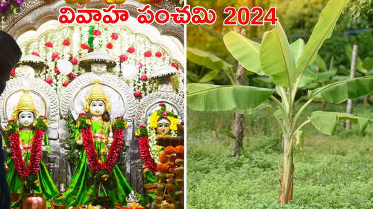 Vivah Panchami 2024 దాంపత్య జీవితం సాఫీగా సాగాలంటే.. వివాహ పంచమి వేళ ఈ పనులు చేయండి...