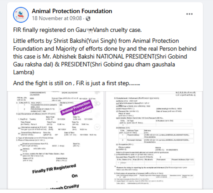 Animal Protection Foundation