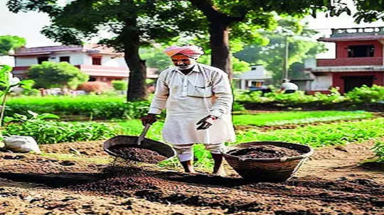 World Soil Day: मातीचा 'स्तर' खालावला; उत्पादकतेवरही परिणाम, मृदा रक्षणाची संशोधकांची हाक