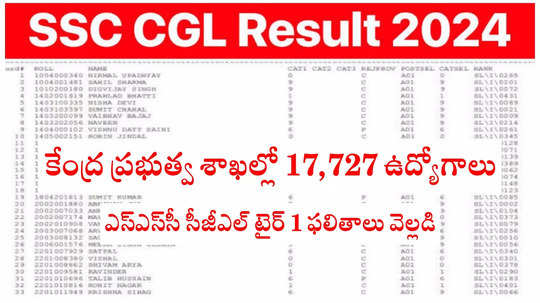 SSC CGL Tier 1 Result 2024: కేంద్ర ప్రభుత్వ శాఖల్లో 17,727 గ్రూప్‌ బీ, సీ ఉద్యోగాలు.. ssc.gov.in వెబ్‌సైట్‌లో ఎస్ఎస్‌సీ సీజీఎల్ టైర్ 1 ఫలితాలు విడుదల