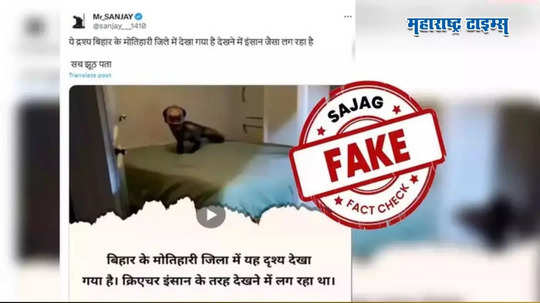 Fact Check : बिहारमध्ये दिसला खरंच अर्धा माणूस आणि अर्धा प्राणी? व्हायरल व्हिडीओमागील सत्य काय?