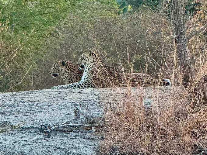 लाखों लोगों ने लाइक किया पोस्ट 