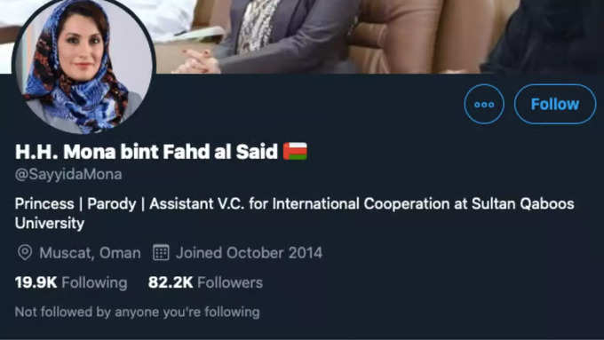 Oman Princess Fake Account