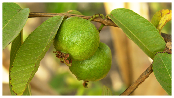 ರಂಧ್ರ, ಚುಕ್ಕೆಗಳನ್ನು ಗಮನಿಸಿ