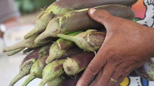 கத்திரிக்காய் விலை பாதியாகக் குறைப்பு.. இன்றைய விலை நிலவரம்!