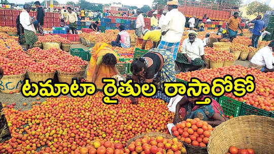 ఏపీలో టమాటా ధరలు అంత చీపా.. అయ్యో పాపం రైతన్నా!