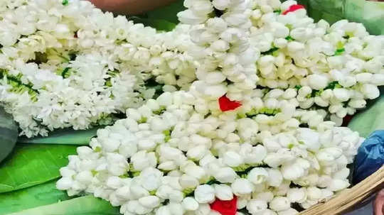 திருக்கார்த்திகை : மதுரை மாட்டுத்தாவணி மலர் சந்தையில் எகிறிய பூக்கள் விலை...!