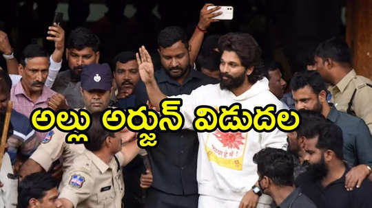 హైదరాబాద్: అల్లు అర్జున్ జైలు నుంచి విడుదల.. మళ్లీ హైకోర్టును ఆశ్రయిస్తామని లాయర్ కీలక వ్యాఖ్యలు