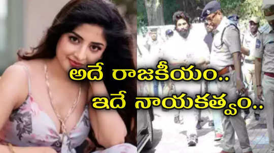 Allu Arjun Arrest : రాజకీయం అంటే ఇదే.. మళ్లీ వేసిన పూనమ్ కౌర్