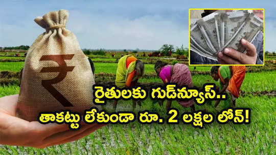 RBI: రైతులకు అదిరిపోయే శుభవార్త.. ఎలాంటి తాకట్టు లేకుండా రూ. 2 లక్షల రుణం.. అప్పటినుంచే షురూ!