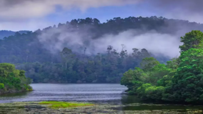 கொடைக்கானல் செல்லும் சுற்றுலா பயணிகளின் கவனத்திற்கு.... பேரிஜம் ஏரிக்கு செல்ல தடை; முழு விவரம் இதோ