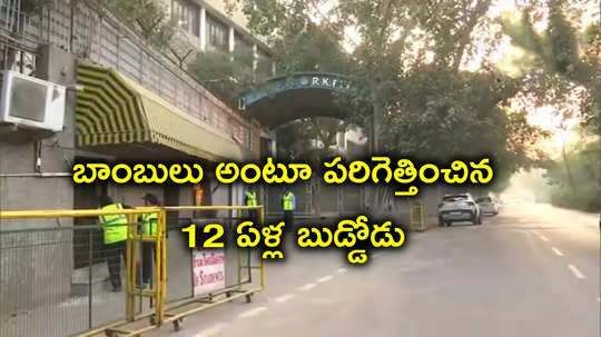 Schools: స్కూళ్లలో బాంబులు ఉన్నాయంటూ 12 ఏళ్ల స్టూడెంట్ మెయిల్.. పోలీసులకు ఏం కారణం చెప్పాడంటే?