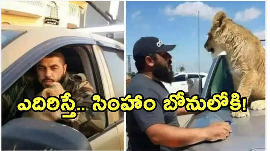 అసద్ పెంపుడు సింహానికి ఆహారంగా ఖైదీలు.. వెలుగులోకి మాజీ అధ్యక్షుడి అకృత్యాలు