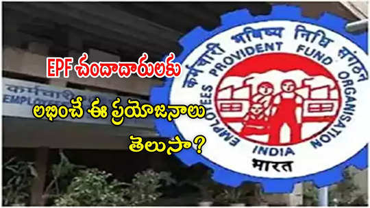 EPFO: పీఎఫ్ ఖాతాతో లభించే ఈ ప్రయోజనాలు ఇవే.. రూ.7 లక్షల ఉచిత బీమా సహా మరెన్నో!