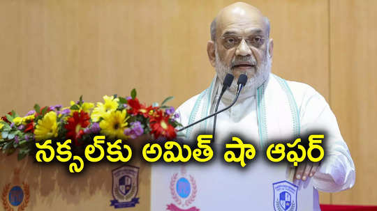 Amit Shah: ఆ ఒక్క పని చేయండి, మీ బాధ్యత మాది.. మావోయిస్ట్‌లకు అమిత్ షా ఆఫర్