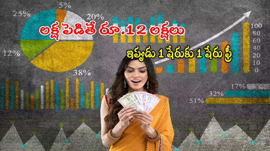 Multibagger: బోనస్ షేర్లు ప్రకటించిన కంపెనీ.. ఒక్కరోజే 10 శాతం పెరిగిన స్టాక్.. రికార్డ్ తేదీ ఇదే!