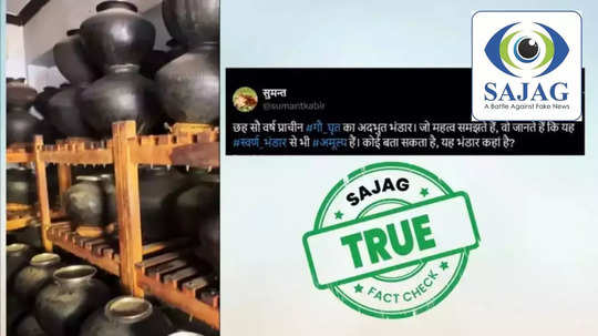 Fact Check : ६०० वर्षांपासून माठांमध्ये भरून ठेवलंय तूप, व्हायरल व्हिडीओचं सत्य काय?