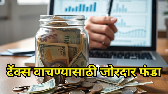 Income Tax: ‘या’ गोष्टींचा विचार करूनच नियोक्त्याला तुमच्या Investment ची माहिती द्या, बचत तर होईल आणि मिळेल मोठा परतावा