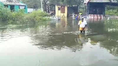 ஸ்ரீவில்லிபுத்தூர் அருகே ஆபத்தான முறையில் நீரோடையை கடக்கும் மக்கள்... பாலம் அமைக்க கோரிக்கை!