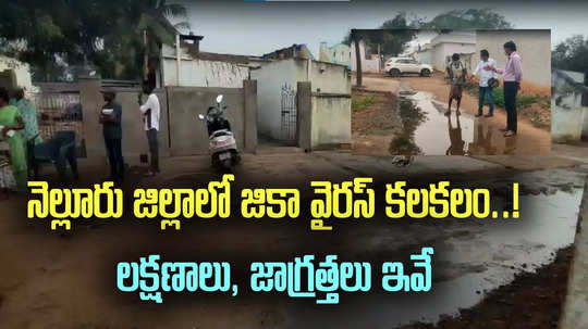 Zika virus: నెల్లూరు జిల్లాలో జికా వైరస్ కలకలం.. ఏపీ మంత్రి స్పందన..