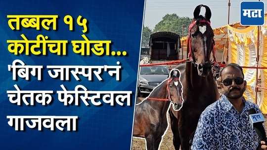 घोड्याची किंमत ऐकून तुम्हीही थक्क व्हाल! १५ कोटींचा 'बिग जास्पर' ठरतोय चेतक फेस्टिवलचा सेलिब्रिटी