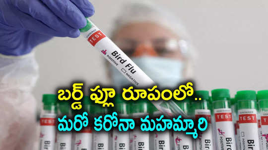 H5N1 avian flu: మనుషుల్లో తొలిసారి తీవ్ర బర్డ్ ఫ్లూ.. కరోనా తర్వాత మహమ్మారి ఇదేనన్న సైంటిస్ట్‌లు