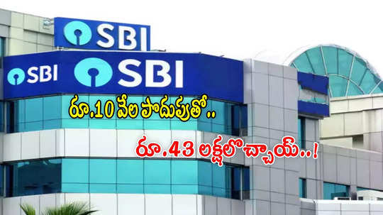 SBI స్మాల్ క్యాప్ ఫండ్ మ్యాజిక్.. రూ.10 వేల పొదుపుతో.. 10 ఏళ్లలో రూ.43 లక్షలొచ్చాయ్..!