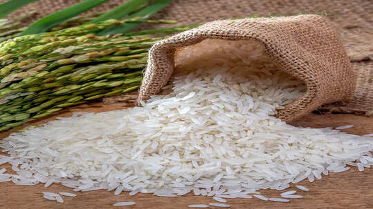 Ambemohar Rice: यंदा 'आंबेमोहोर' भाव खाणार; किलोमागे १० ते १५ रुपये दरवाढीचा अंदाज