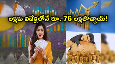 లక్షకు రూ. 76 లక్షలొచ్చాయ్.. ఐదేళ్లలో 7500 శాతం రిటర్న్స్.. కాసుల పంట!