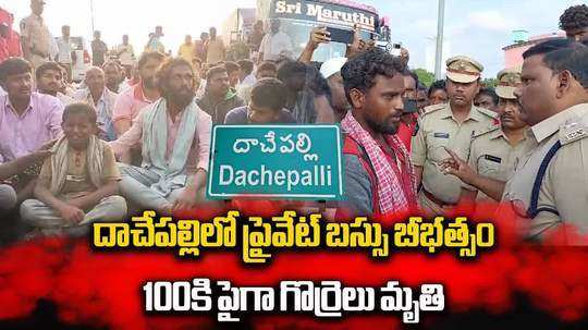 దాచేపల్లి: ట్రావెల్స్ బస్సు బీభత్సం..  147 గొర్రెల మృతి